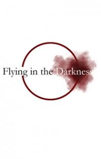FLYING IN THE DARKNESS