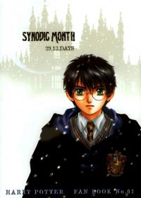 Harry Potter Dj - Synodic Month (Doujinshi)