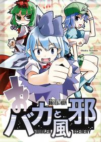 Touhou - Of Idiots And Colds (Doujinshi)