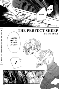 The Perfect Sheep