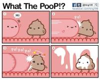 What the PooP!?