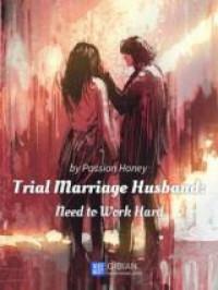 Trial Marriage Husband: Need to Work Hard (Novel)